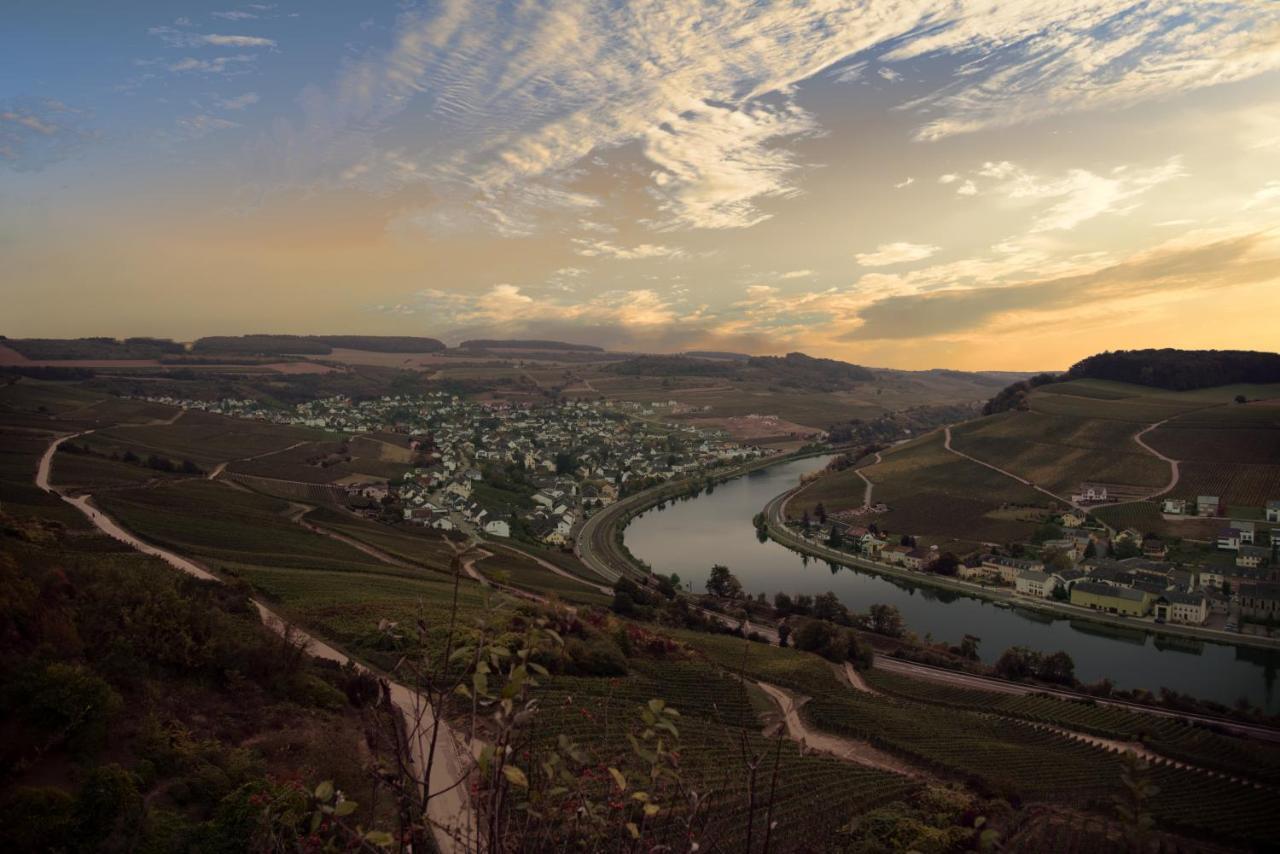 Weingut Und Gaestehaus Zilliken Nittel Luaran gambar