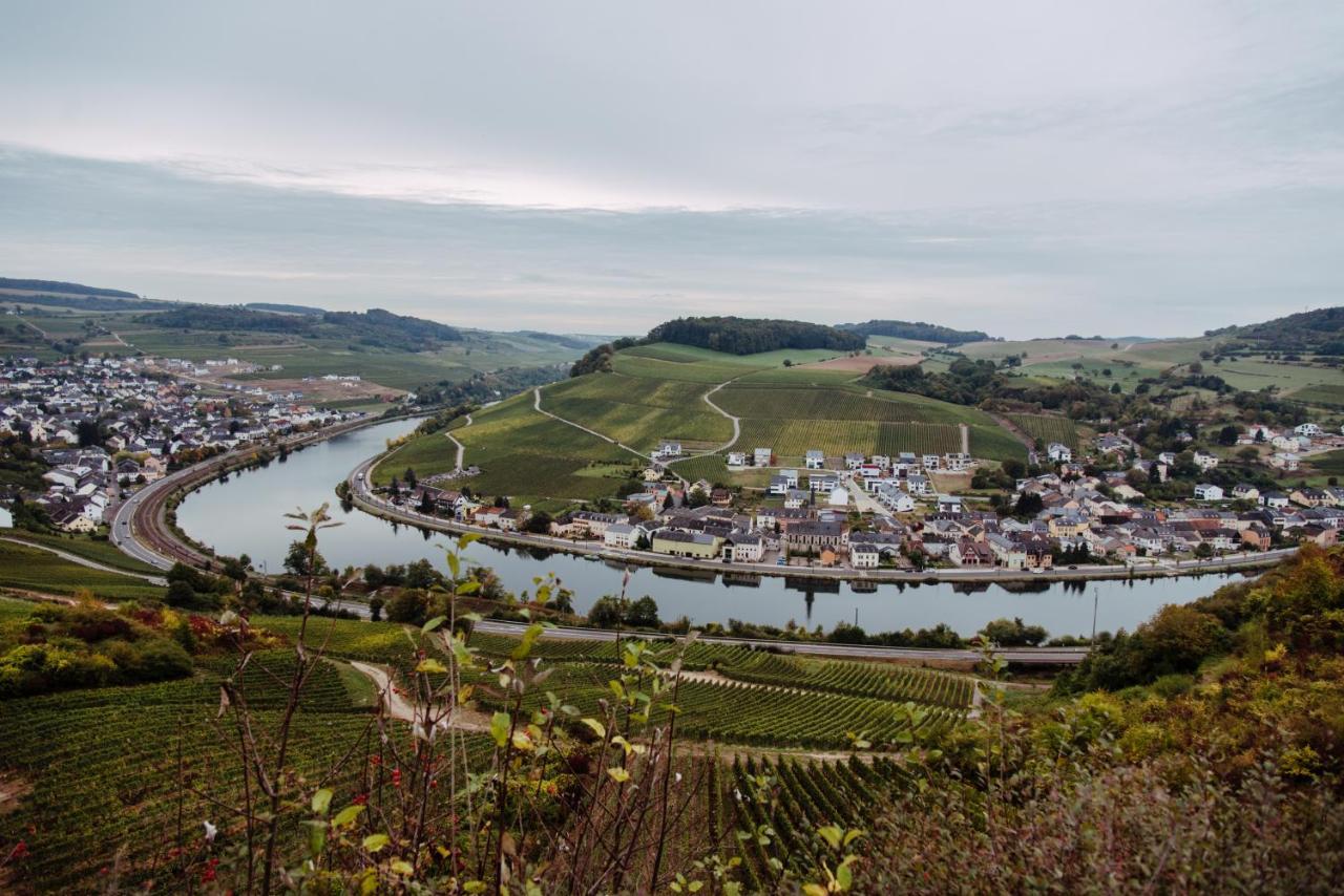 Weingut Und Gaestehaus Zilliken Nittel Luaran gambar